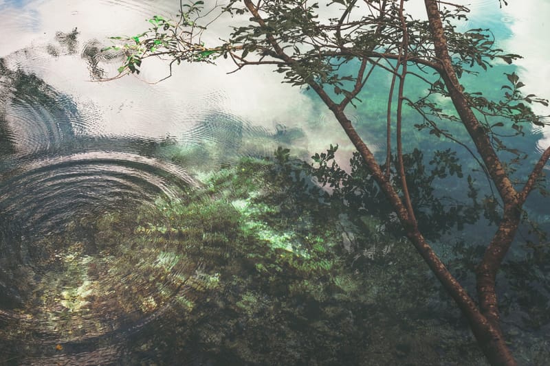 Chapter Twenty-Nine: Hunted Part 3 (Leesa)