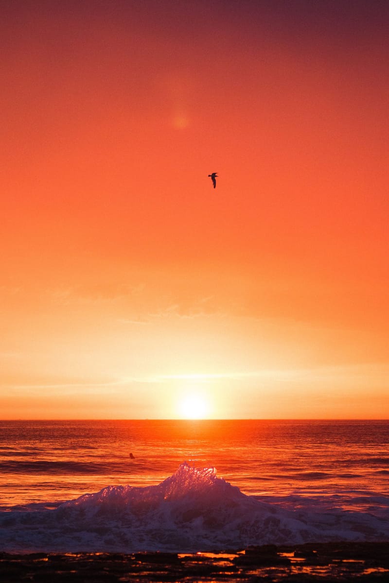 EL MAR NO LO HABRÍA INTENTADO image