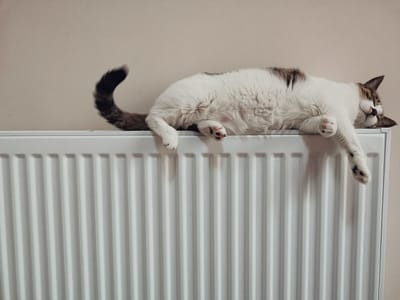 Common risk when replacing old steam based radiator