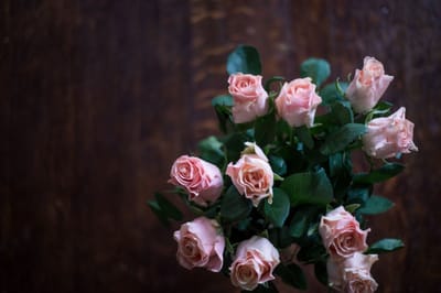 صبحية مع الرب