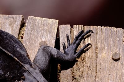 WITCH DOCTOR IN MUMIAS TOWN