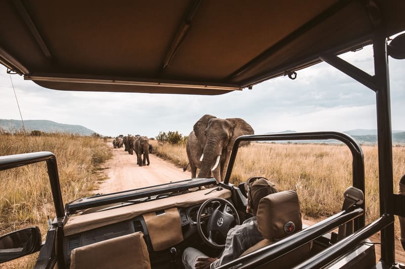 The Akagera Safari & Birdwatching Expedition
