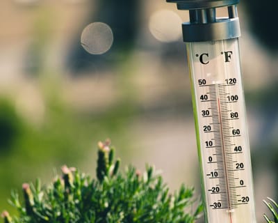 Deutschland als Vorreiter für die Klimapolitik?