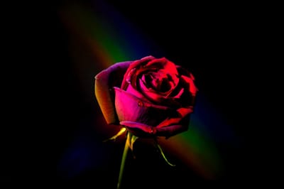 صبحية مع الرب