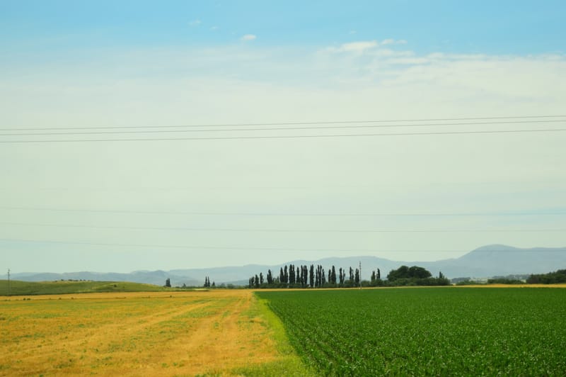 السفير الأمريكي: مليار دولار لتطوير الإنتاجية الزراعية وتسويق المحاصيل في مصر