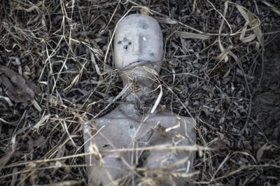 WITCH DOCTOR IN ABU DHABI UNITED ARAB EMIRATES