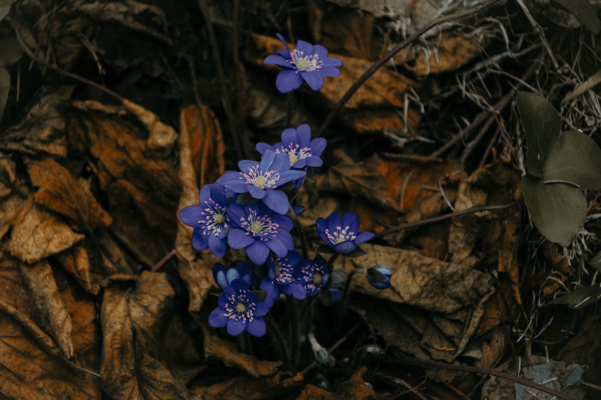 The Work of Becoming: When Ordeal Awakens a Passion for Justice