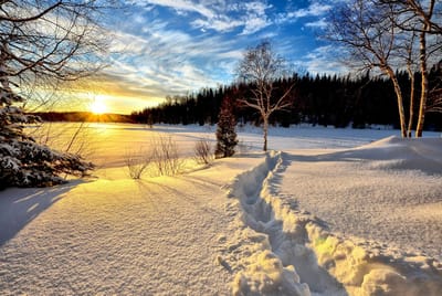 Business Law Newsletter- Winter '23