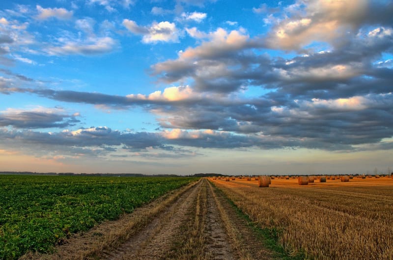 Farming