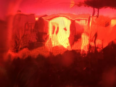 OMAN BEST WITCH DOCTOR