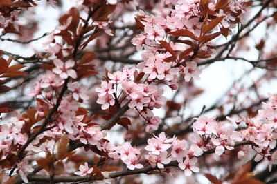 Spring Cleaning for Your Retail or Manufacturing Business: Top 5 Operational Clean-Up Tips