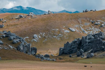 2022 VIOLENCE AND ECONOMY