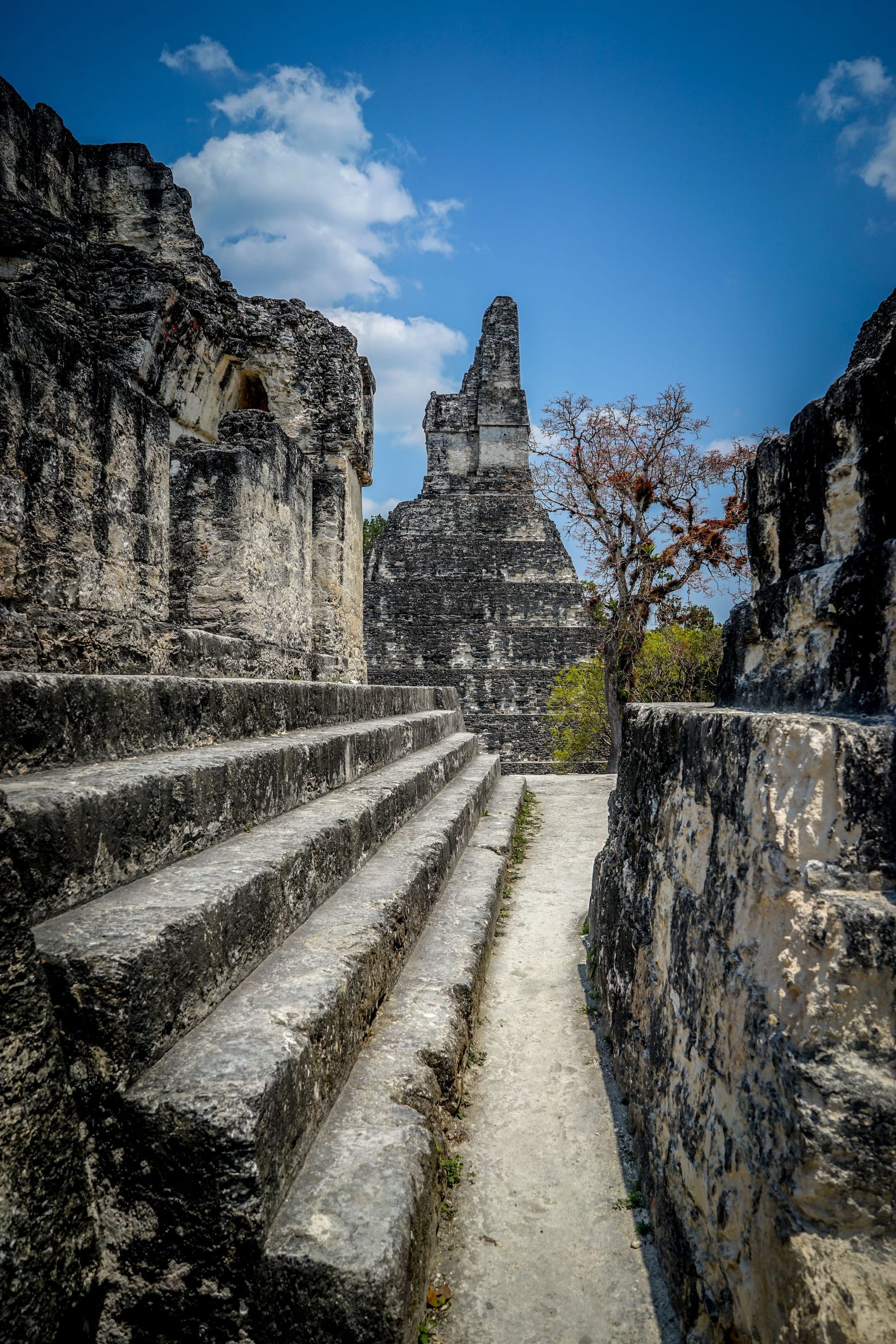 ANTICA STELE MAYA SCOPERTA A UXMAL