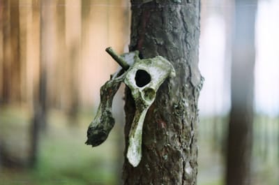 WITCH DOCTOR IN PAKISTAN