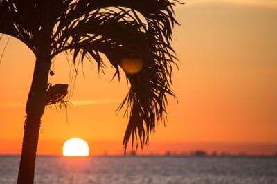 Florida Vacations and Entertainment