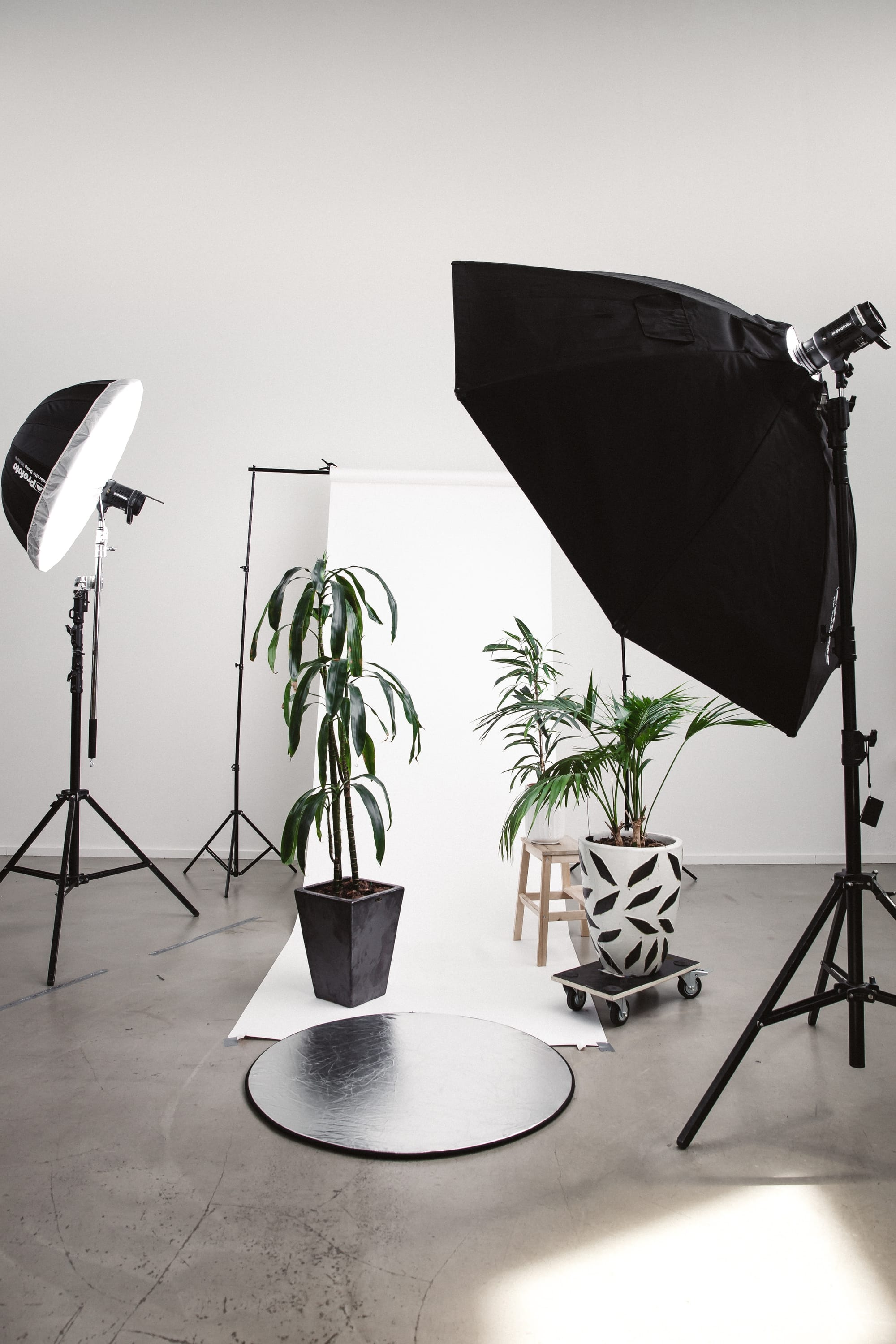 M Global Studio