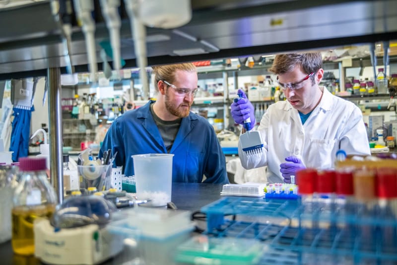 علماء روس يبتكرون طريقة بسيطة للكشف عن مادة سامة منتشرة في بعض الأطعمة الشائعة