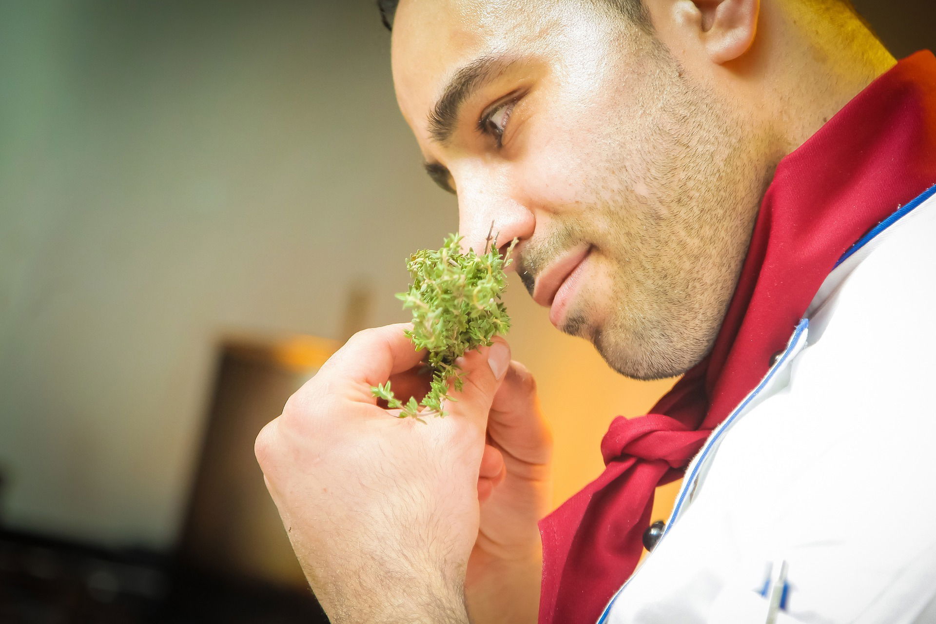 НЕОБХІДНІСТЬ HACCP ДЛЯ ЗАКЛАДІВ ГРОМАДСЬКОГО ХАРЧУВАННЯ.