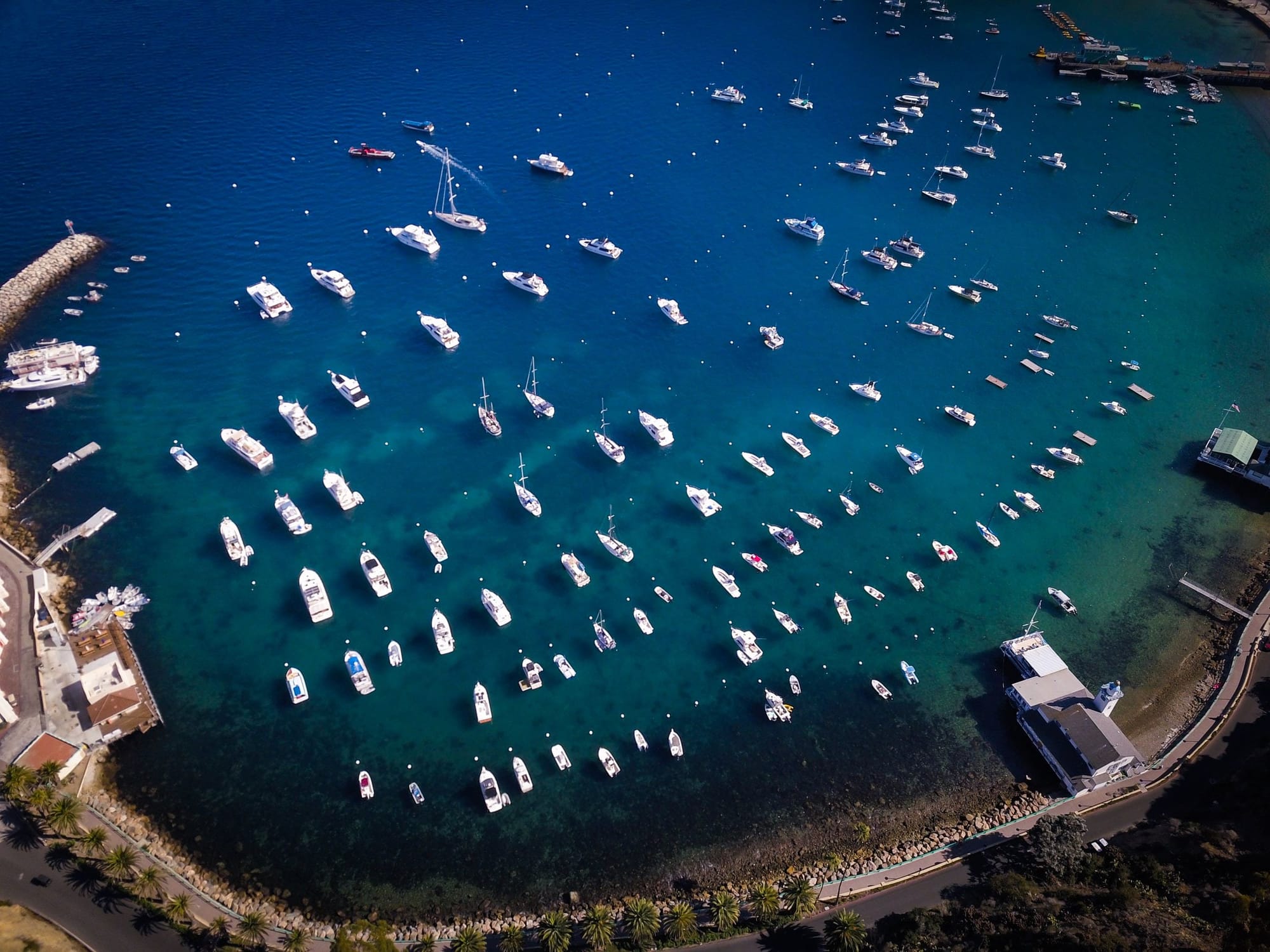 Hundreds of Boats Gather for Parade Supporting Trump.