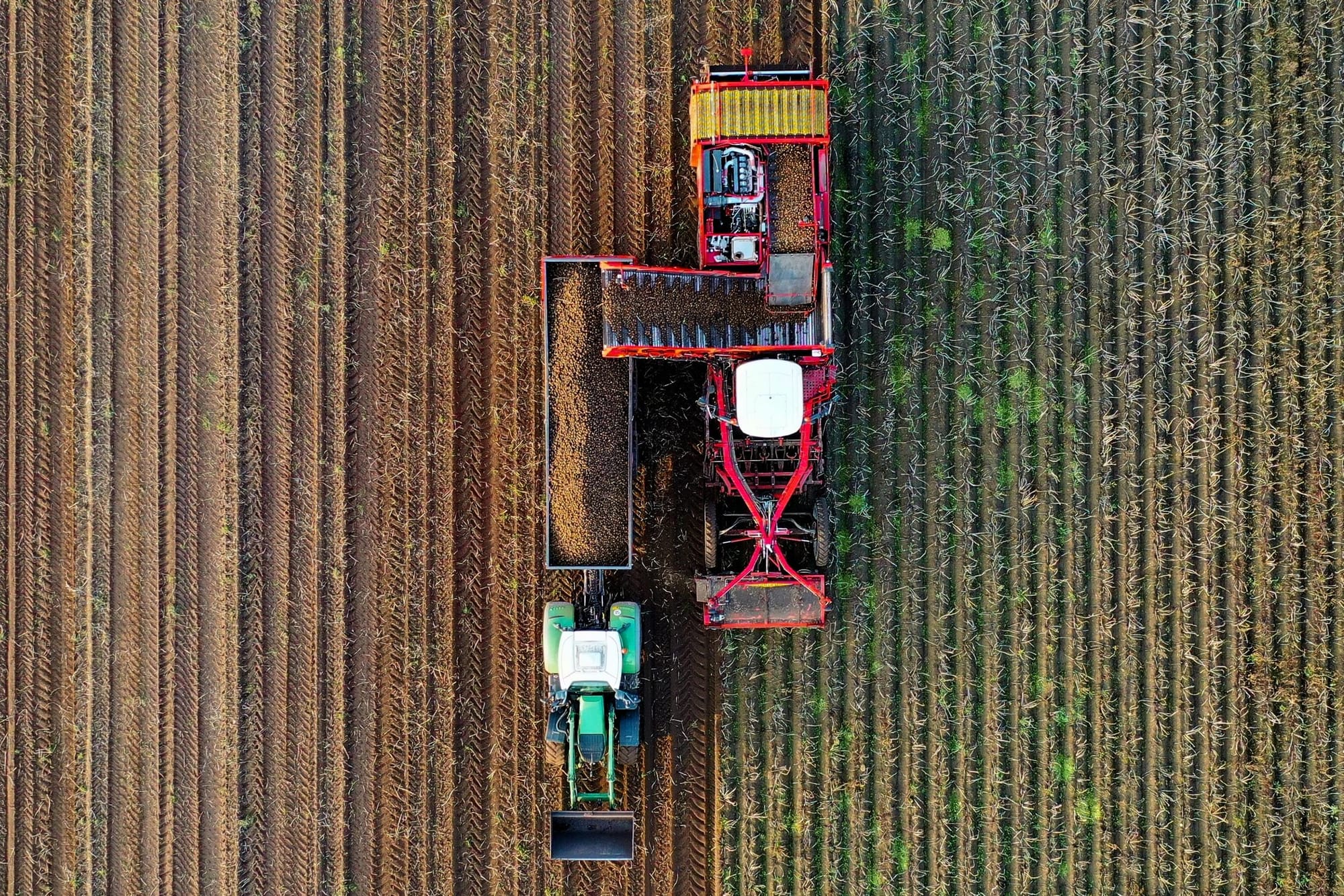 Înființare cooperativă agricolă