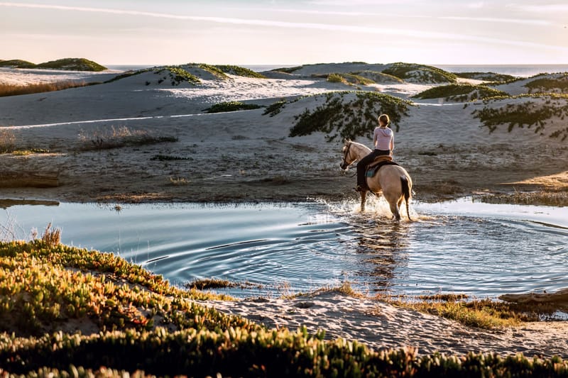 Horseback Riding