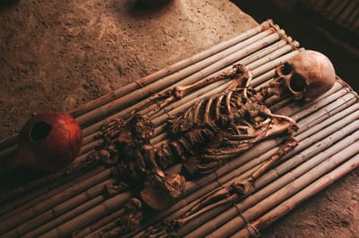 WITCH DOCTOR IN BRATISLAVA SLOVAKIA