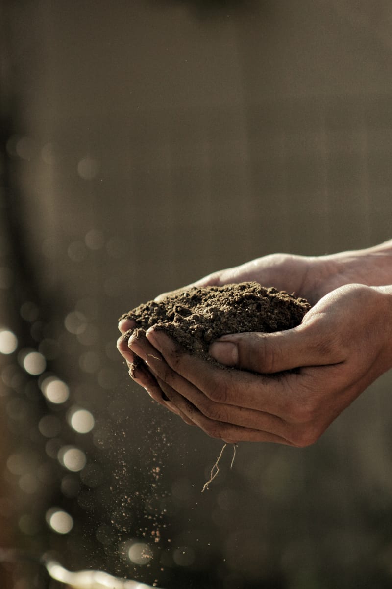 Soil Health And Rejuvenation