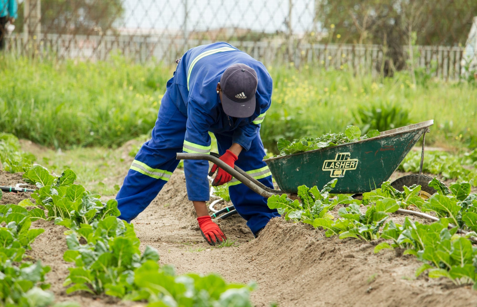 Agro-Initiative und Sensibilisierungsstrategie