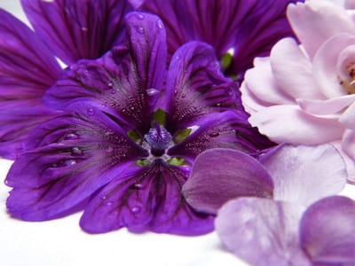 صبحيّة مع الربّ