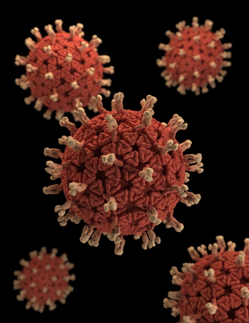 The Viral Environment