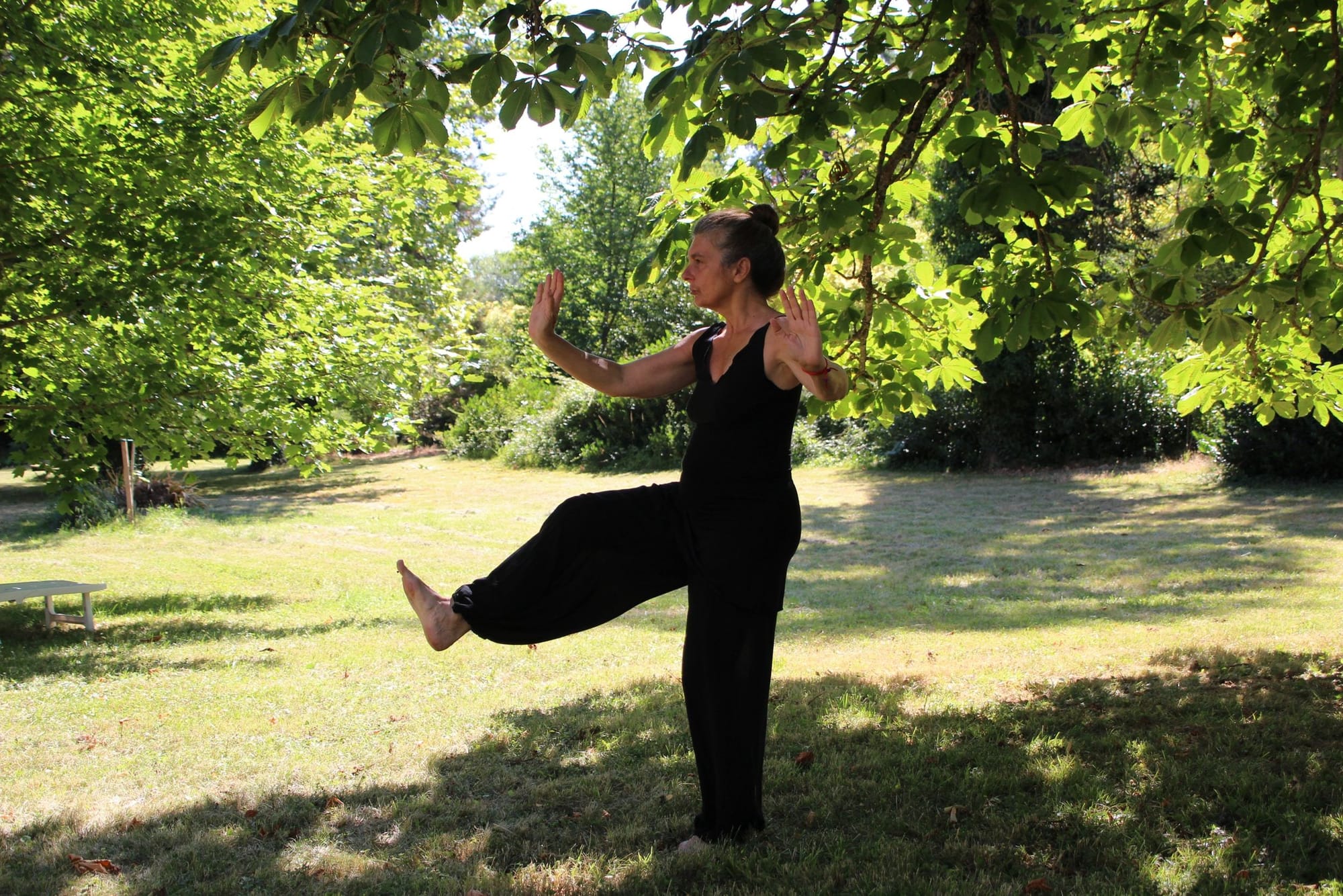 Chi Kung