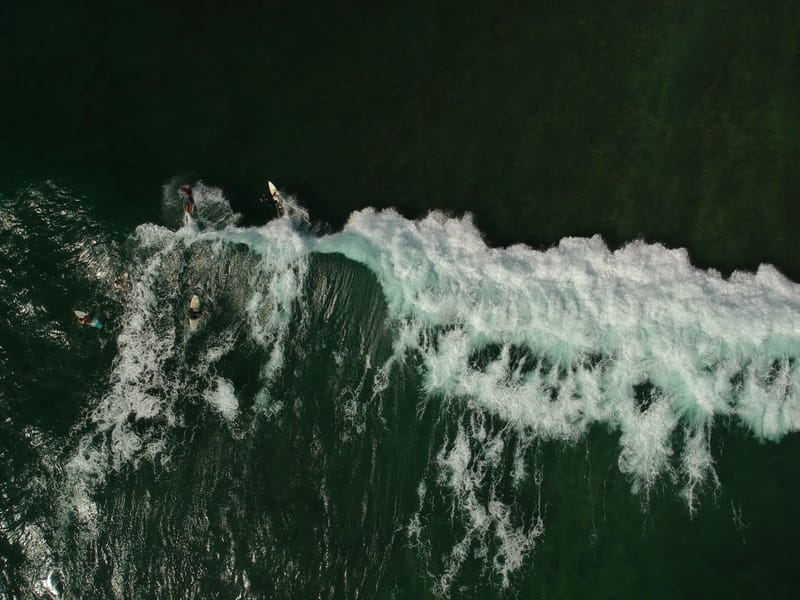 PACK SEMESTRE (350 euros)