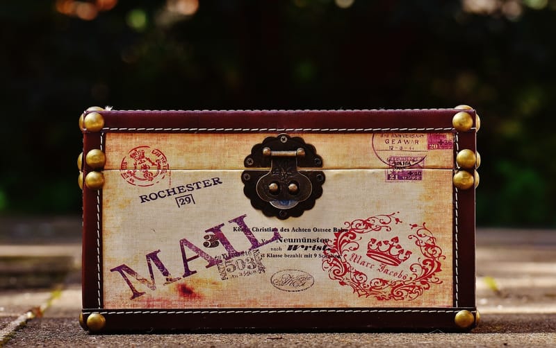 Possibly a New Favorite Author and Our Second Favorite Plumber