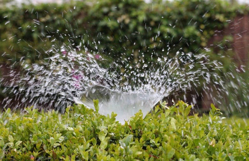 Automatische bewatering