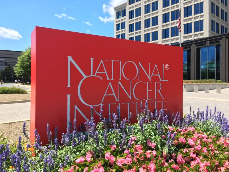 National and Cancer, Institute and Society