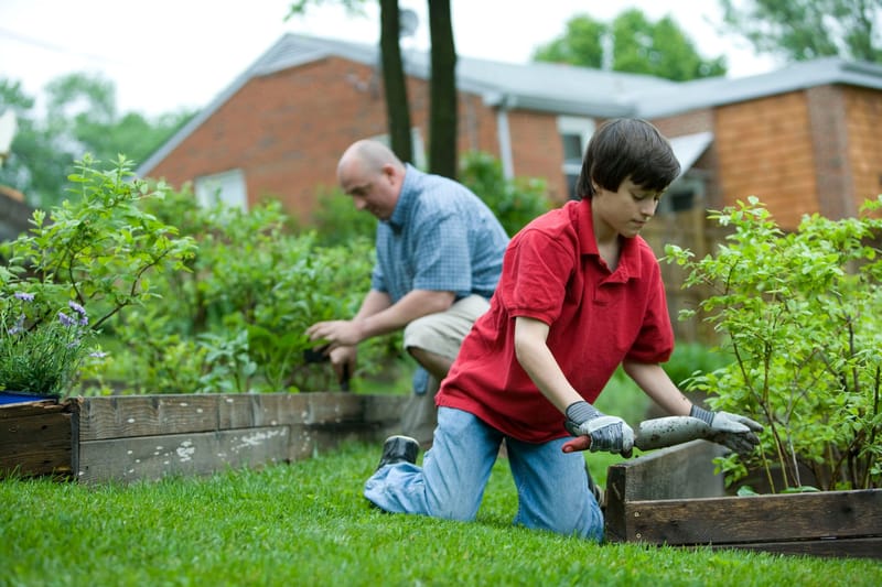 Local food security - principles of Squarefoot gardening