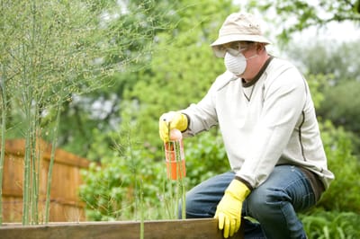 Advantages and Disadvantages of Eco-Friendly Pest Control