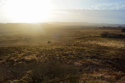 על הצפיפות והדחיפות ועל קולה של האדמה