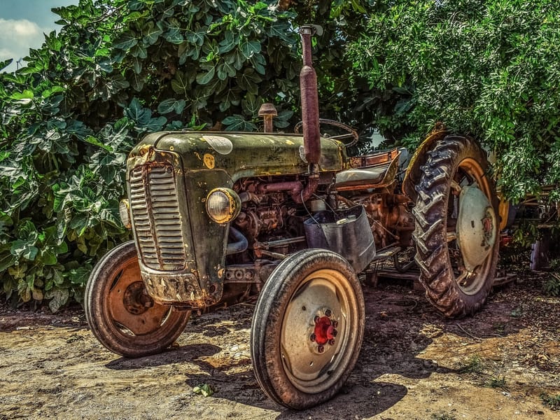 Farm Clean Up