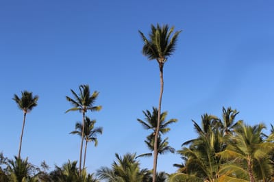 Residenciales Exclusivos en Bávaro Punta Cana