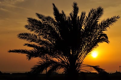 شرح ثلاثة الأصول