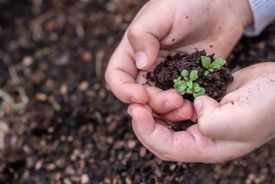 La naturaleza y nuestros niños