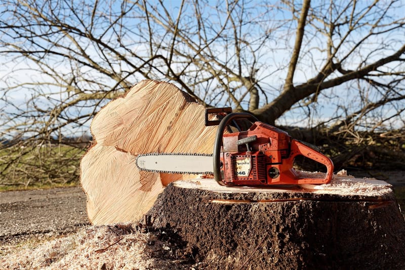 Tree Removal