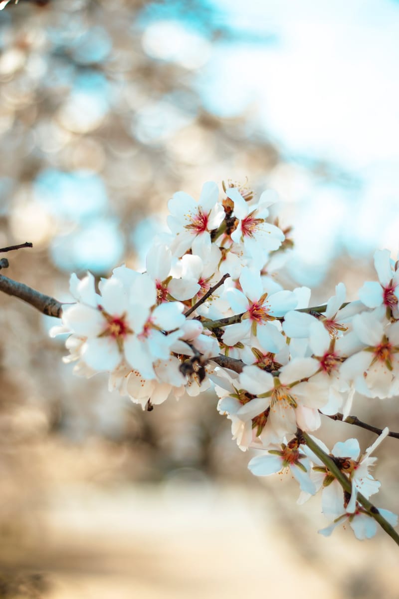 Flexible Client-Centered Therapy