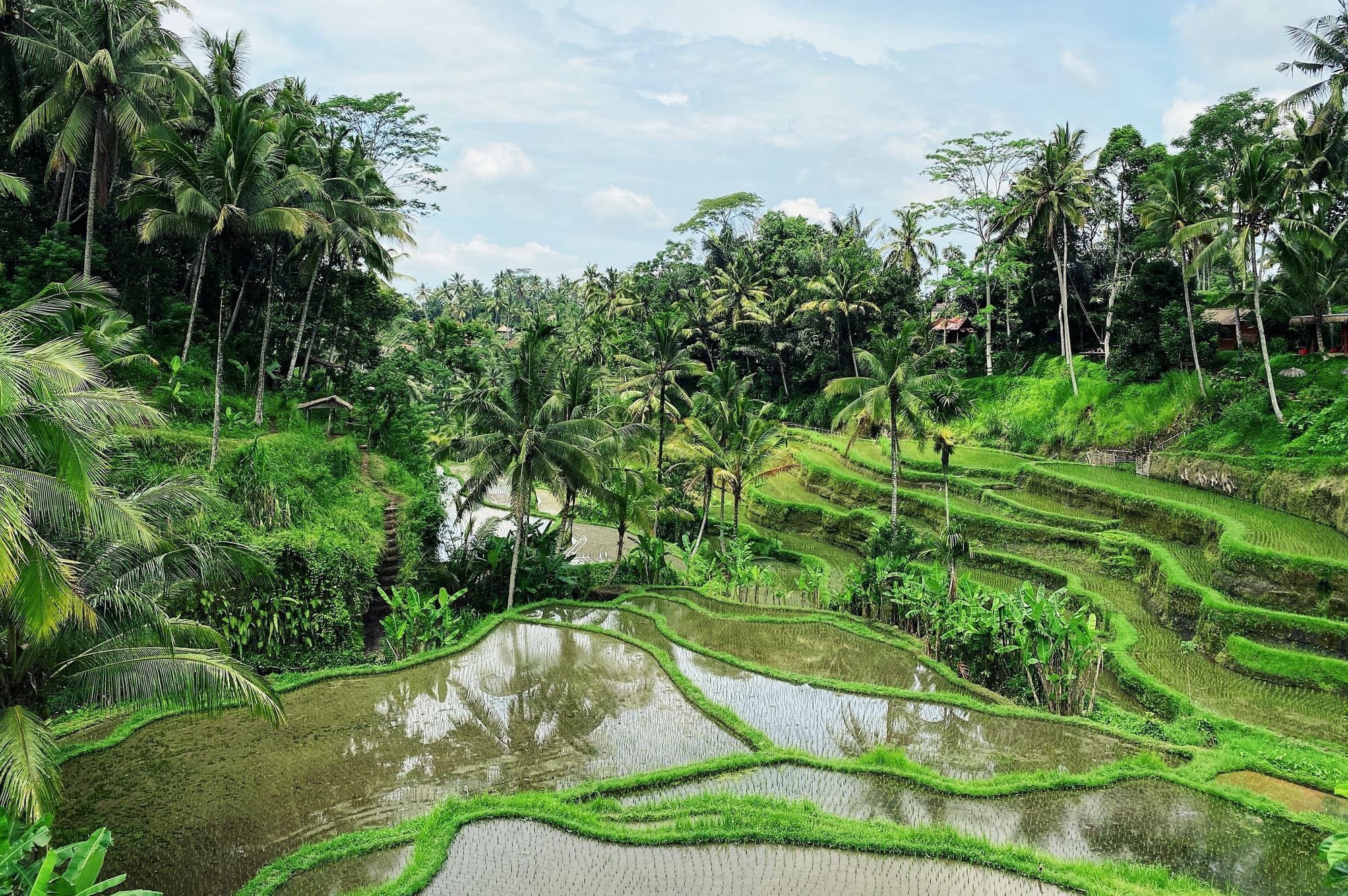 Best of Ubud