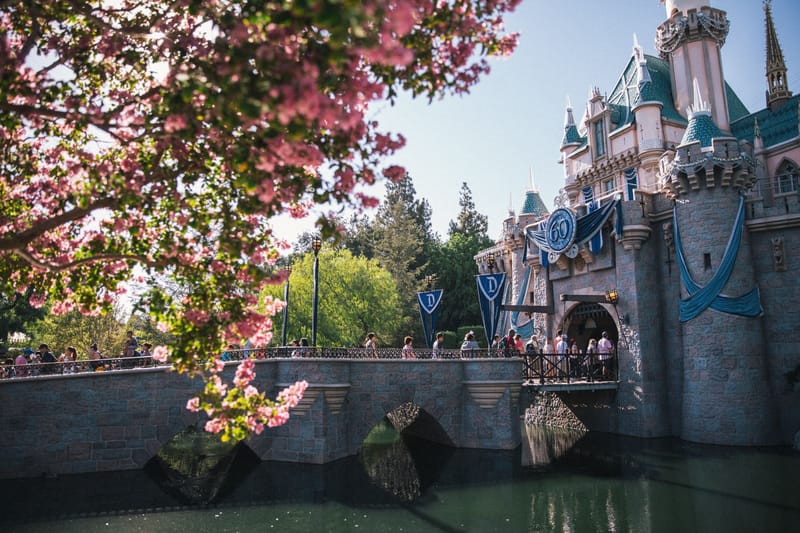 Your Guide to Disneyland Resort: Where the Magic Began