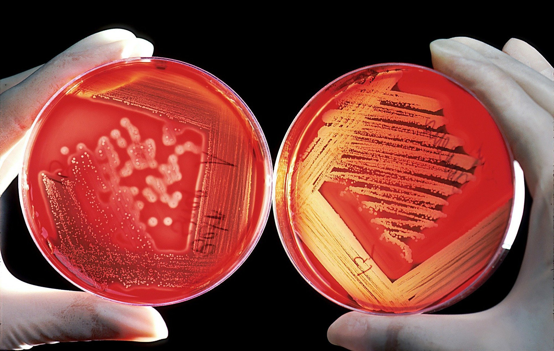 Home Laboratory for Home School Parents