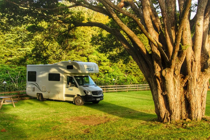 My Country Home RV Park RV park in Conroe, TX (photo 1)