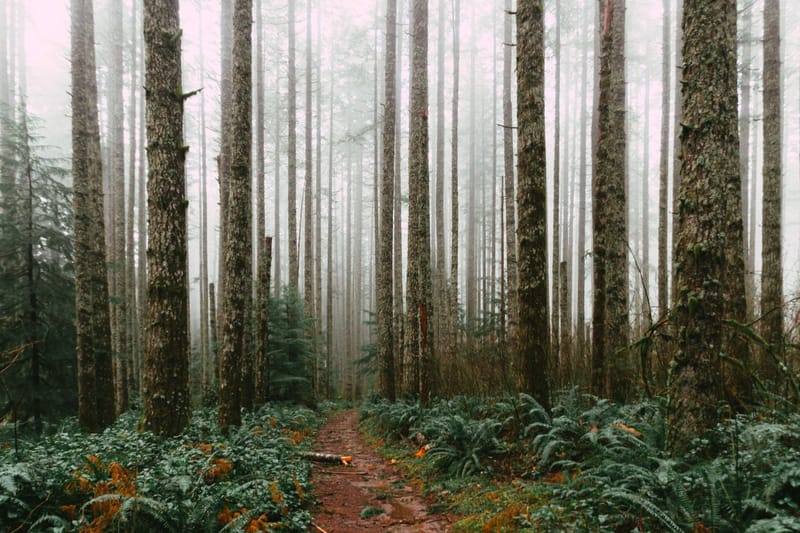 3 Big Real Things that you can apply in your lifestyle to start growing your inner soul ( +1 bonus )
