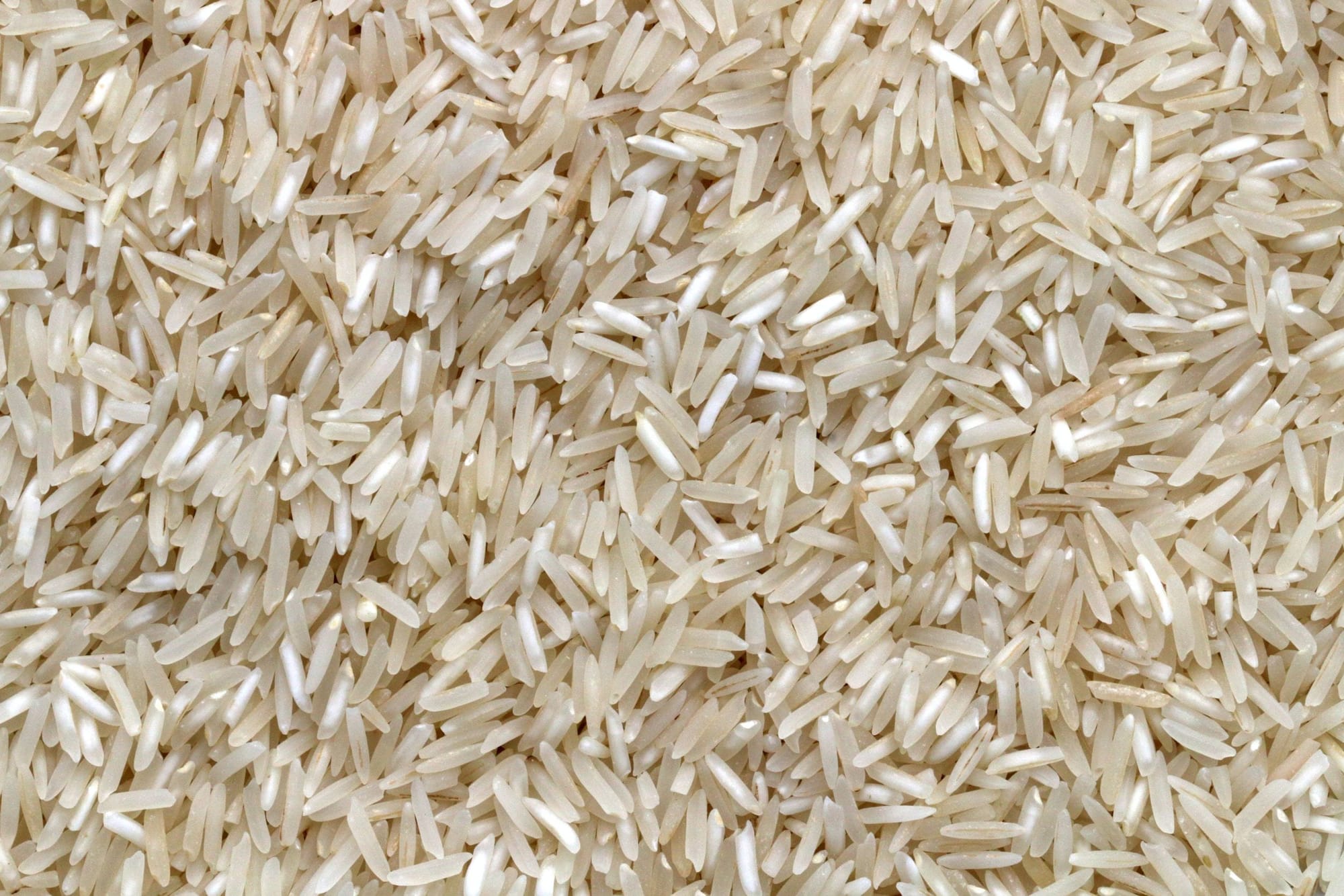 Rice millers’ association raises concern over stocking of hybrid seed variety